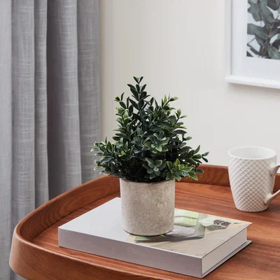 Pagazzi Artificial Mini Dark Bush