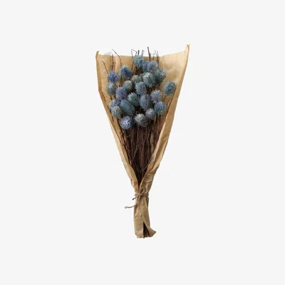Pagazzi DRIED THISTLE BUNDLE BLUE LARGE