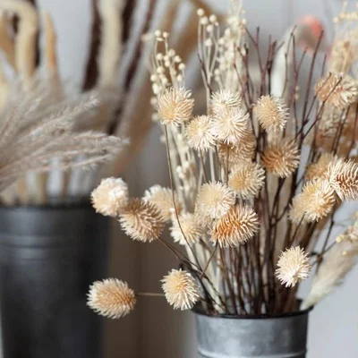 Pagazzi Dried Thistle Bundle in Paper Wrap Natural Large