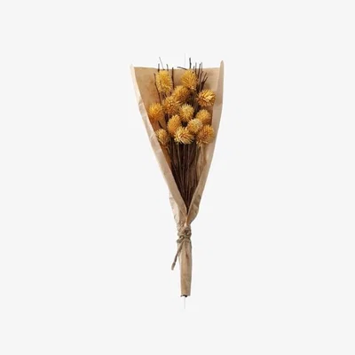 Pagazzi DRIED THISTLE BUNDLE OCHRE SMALL