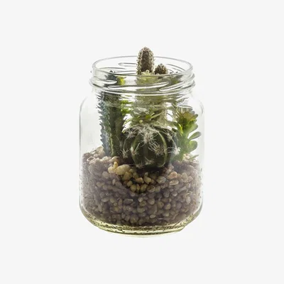 Pagazzi Succulent Garden in Glass Jar