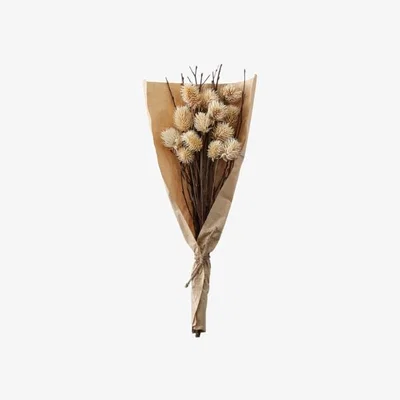 Pagazzi DRIED THISTLE BUNDLE NATURAL SMALL