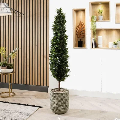 Quatropi Quatropi Artificial Plant & Handmade Pot 175cm - Tall Bay Tree