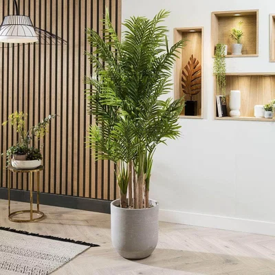 Quatropi Quatropi Artificial Plant & Handmade Pot 205cm - Tall Fern Plant