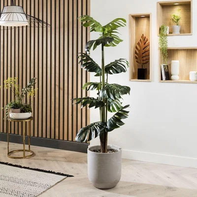Quatropi Quatropi Artificial Plant & Handmade Pot 200cm - Tall Monstera Cheese Plant