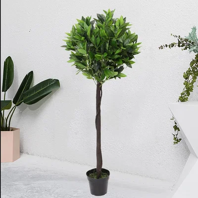 The Range Artificial Plants Topiary Tree Indoor - Green / Rolled Vine Trunk / 120cm