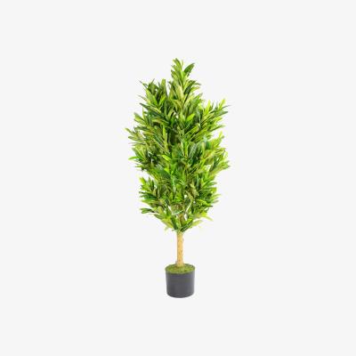The Range Artificial Variegated Spotted Dracaena Plant Tree Large - Green