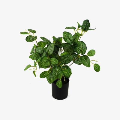 The Range Artificial Variegated Green Pothos Plant - Green