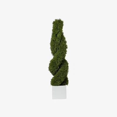 The Range Cypress Spiral Tree - Green