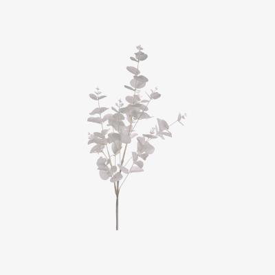 The Range Silk White Champagne Eucalyptus