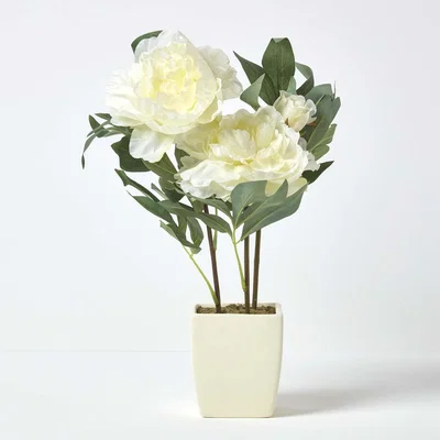 The Range Homescapes Cream Artificial Peonies in Decorative Cream Pot, 48 cm Tall - Natural