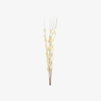 The Range Hill Interiors Bouquet Of Dried Thlaspi Arvense Artificial Flower - White