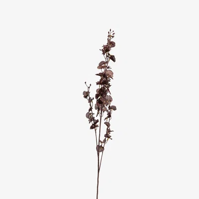 The Range Deep Purple Dancing Orchid Stem Dramatic Floral - Purple
