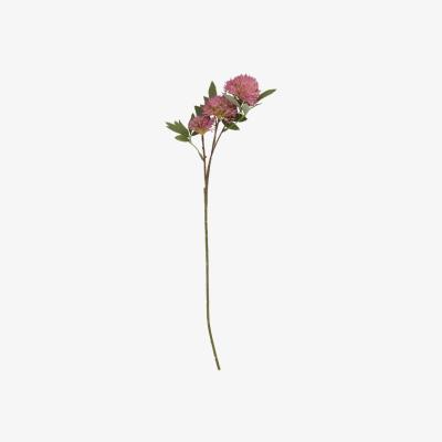 The Range Spiky Fireball Flower - Pink