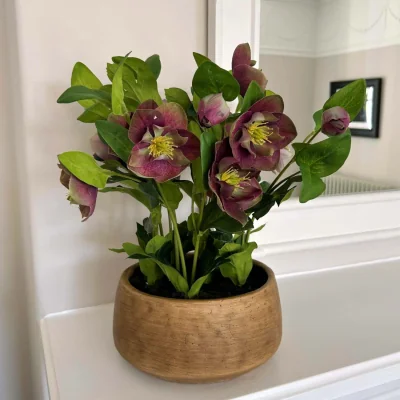 The Range Deep Plum Hellebore Artificial Plant in Rustic Taupe Pot - Brown