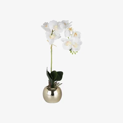 The Range Real Touch Orchid In Soft Gold Pot