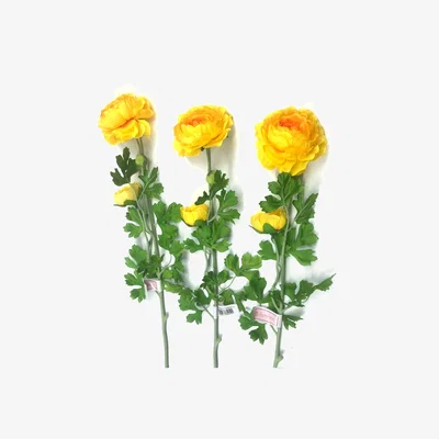 The Range Pack of 3 Yellow Ranunculus Flower Stems Sprays - Yellow