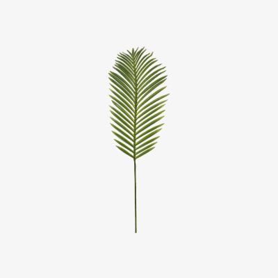 The Range Large Tropical Fern Leaf