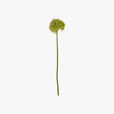 The Range Set of 3 Giant Allium Artificial Flower Stems - Green
