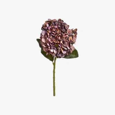 The Range Autumn Coffee Hydrangea Warm Colored Flower Arrangement - Red
