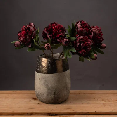 The Range Burgundy Peony Rose  - Red