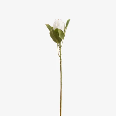 The Range Set of 3 Closed Protea Artificial Flower Stems - White