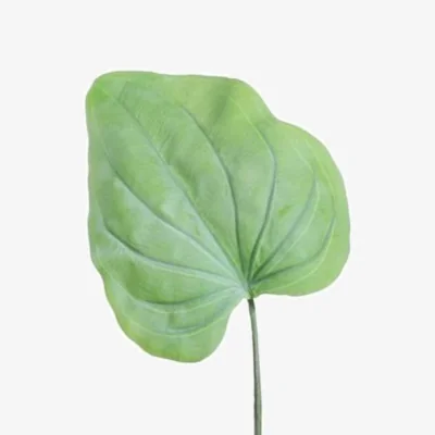The Range Large Hosta Leaf Green 6 Pack Artificial Flowers - Green