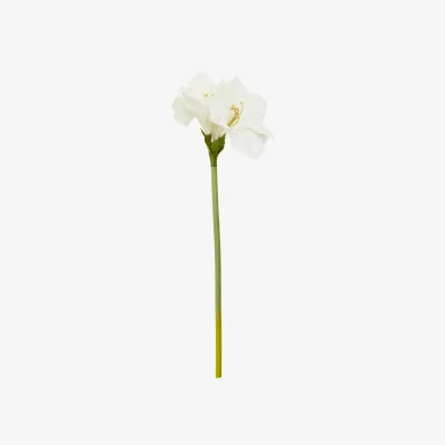 The Range Fiori Ivory Amarylilis Flower Stem - White