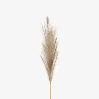 The Range Luxury Pampas Sage Green Artificial Flowers - Green