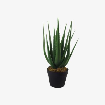 The Range Artificial Large Aloe Vera Succulent Plant - Green