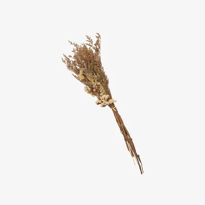 The Range Dried Limonium & Bunny Tail Bouquet - Natural