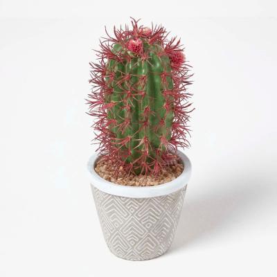The Range Homescapes Denmoza Artificial Cactus with Flowers in Patterned Pot, 25 cm Tall - Green
