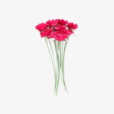 The Range 10 Gerbera Flower Stems - Pink