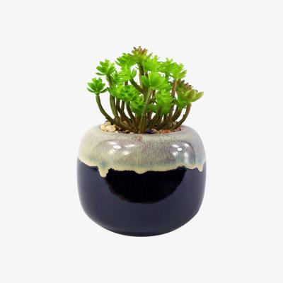 The Range Ceramic Drip Glazed Planter Artificial Sedum Clavatum Plant - Green
