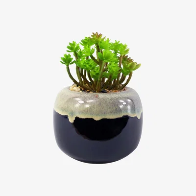 The Range Ceramic Drip Glazed Planter Artificial Sedum Clavatum Plant - Green