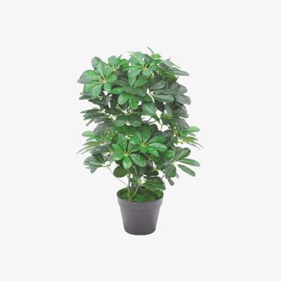 The Range Dark Green Artificial Schefflera Arboricola Bush - Green