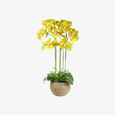The Range Large Orchid Lime Yellow Artificial 41 REAL TOUCH flowers - 80cm Real Touch Lime Yellow