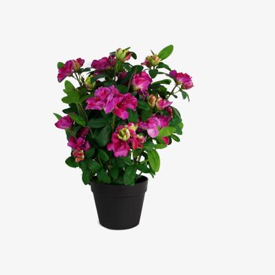 The Range 50cm Artificial Rhododendron Pink - Pink