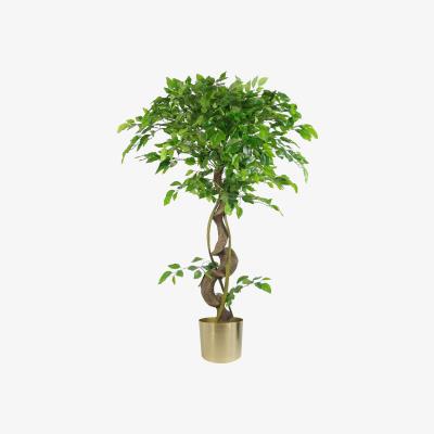 The Range Twisted Trunk Artificial Japanese Fruticosa Style Ficus Tree Gold Pot - Green