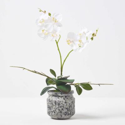 The Range Homescapes 42cm Lifelike Artificial White Orchid in Grey Cement Pot - White