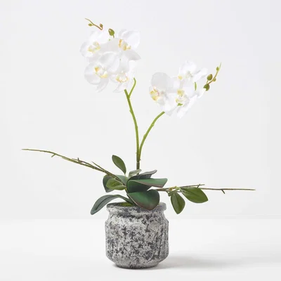 The Range Homescapes 42cm Lifelike Artificial White Orchid in Grey Cement Pot - White