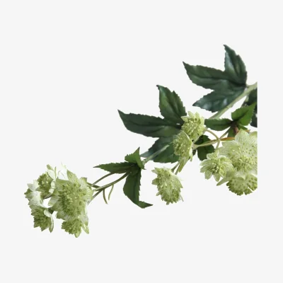 The Range Green Astrantia 2 Pack Artificial Flowers - Green