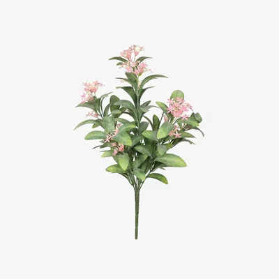 The Range UV Indoor, Outdoor Everlast Jasmin Plant - Pink