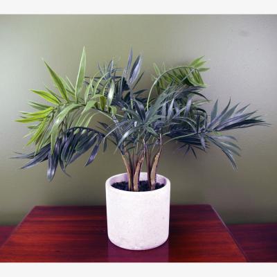The Range Artificial Mini Tropical Palm in Decorative Planter - Green / 40cm