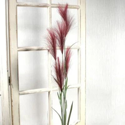 The Range Red Pampas Grass Dried Flowers - Red