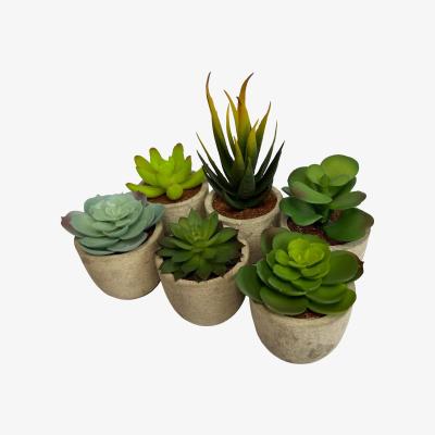 The Range Set of 6 Artificial Succulent Mini Cactus Grass Plants Indoor Decoration