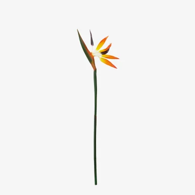 The Range Fiori Tall Bird Of Paradise Flower Stem - Orange