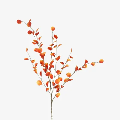 The Range Orange Eucalyptus Spray Autumn - Orange