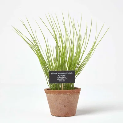 The Range Homescapes Artificial Chive Plant in Decorative Pot - Terracotta