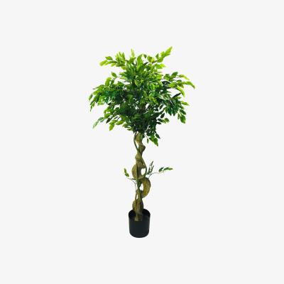 The Range Artificial Ficus Tree With Twisted Trunk - Green